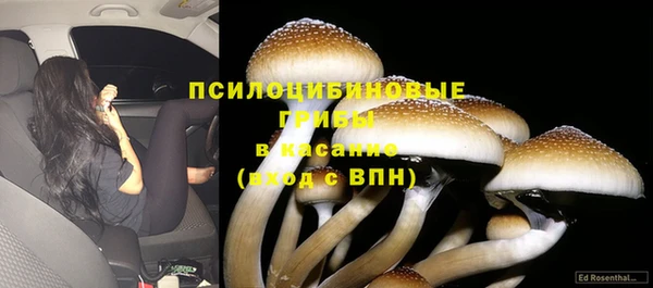 сатива Алексин