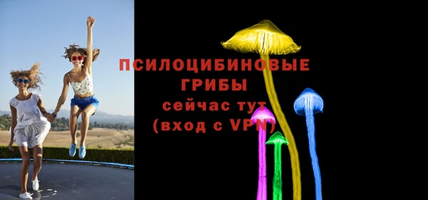 сатива Алексин