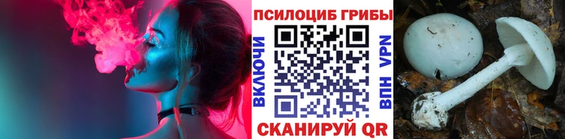 площадка состав  Ханты-Мансийск  Псилоцибиновые грибы MAGIC MUSHROOMS  продажа наркотиков 