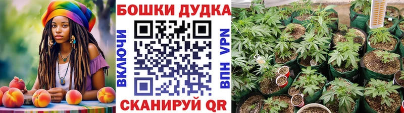 Шишки марихуана White Widow  купить наркоту  Ханты-Мансийск 